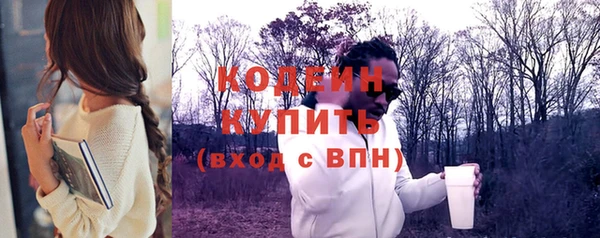 соль ск Новодвинск