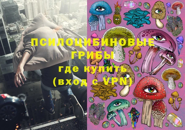 spice Новозыбков