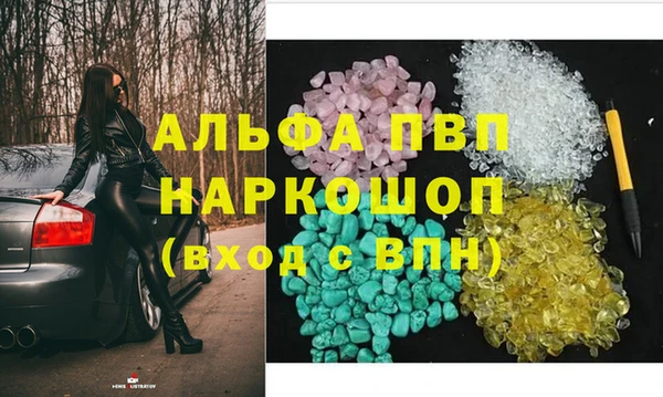 соль ск Новодвинск