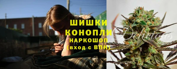 соль ск Новодвинск