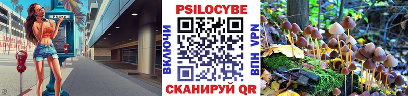 купить наркотики сайты  Сасово  Галлюциногенные грибы Psilocybe 